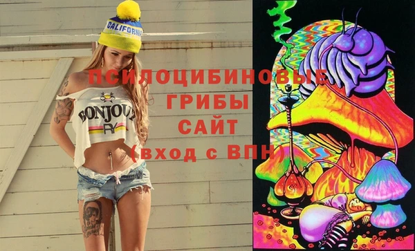 ГАЛЛЮЦИНОГЕННЫЕ ГРИБЫ Алексеевка