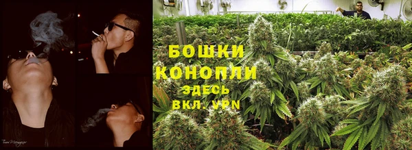 ГАЛЛЮЦИНОГЕННЫЕ ГРИБЫ Алексеевка